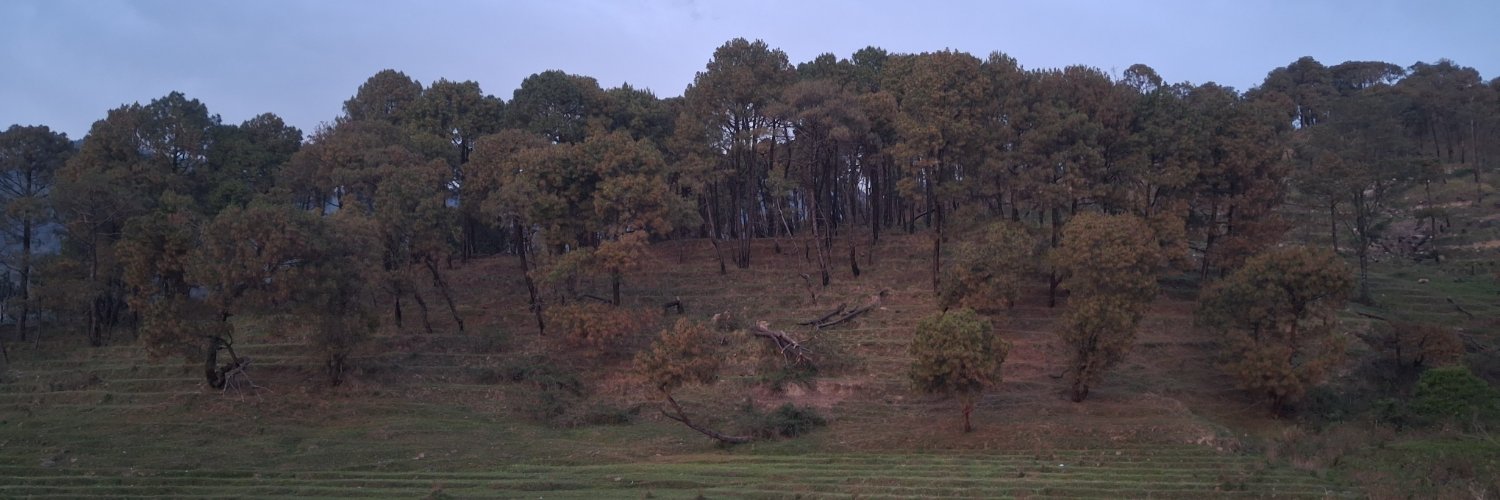 syducksounds's profile banner image