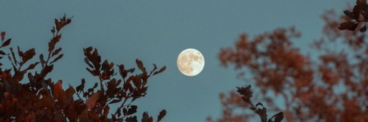 juuliheredia's profile banner image
