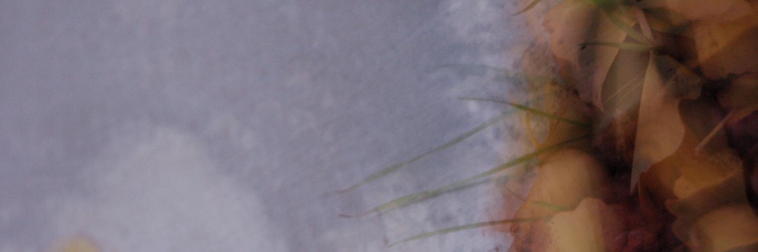MetaphorADay's profile banner image
