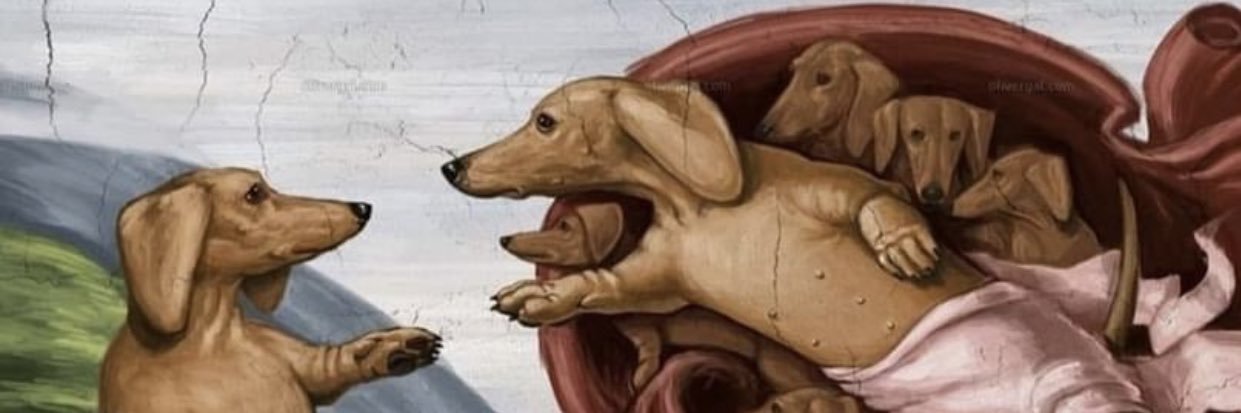 DrPolarko's profile banner image