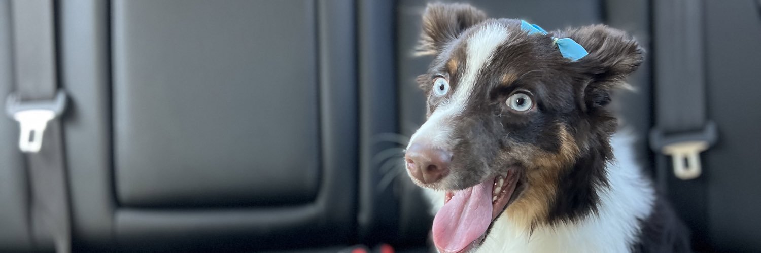 chrollolucil95's profile banner image