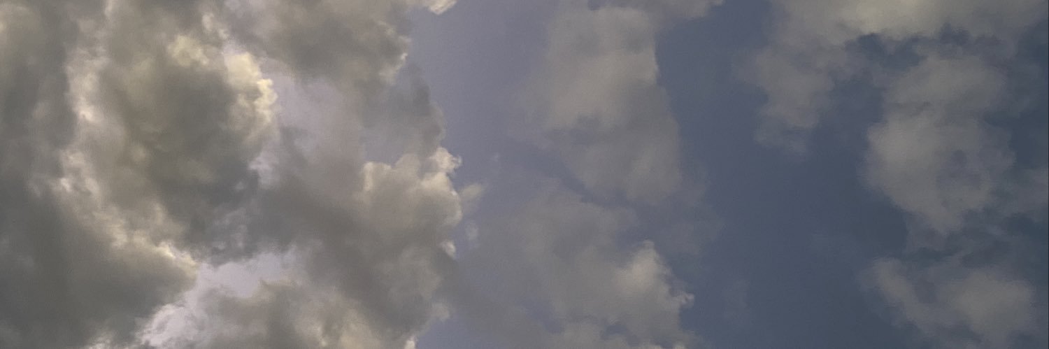 bellaguzzi's profile banner image