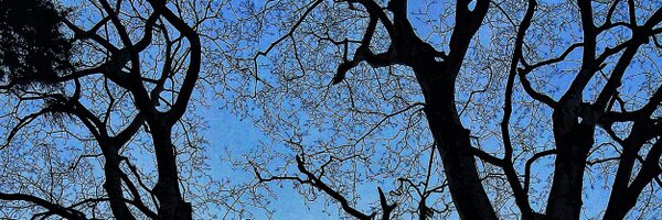 SteveBlick Profile Banner