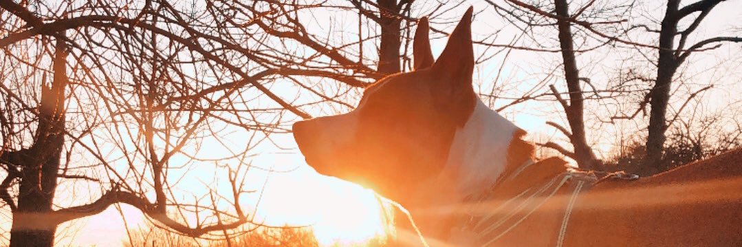 cjgarreth's profile banner image