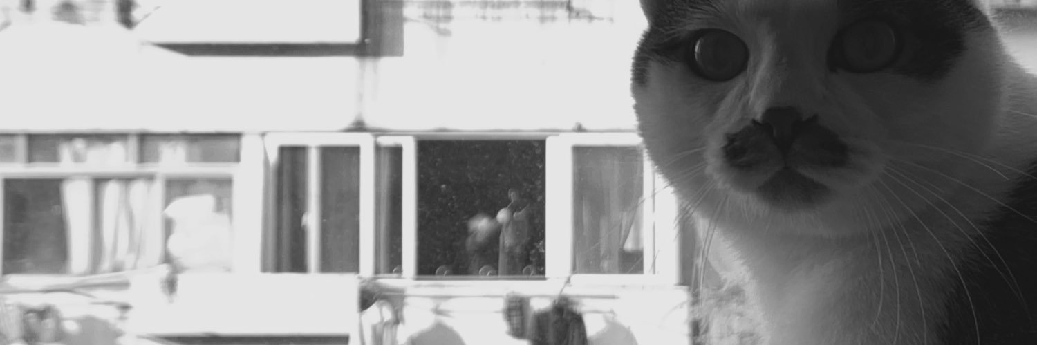 Rocker_Rain's profile banner image