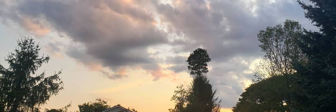 Emily_sue22's profile banner image