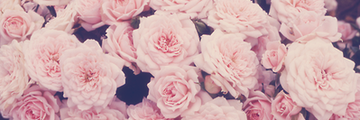 ciumessmeu's profile banner image