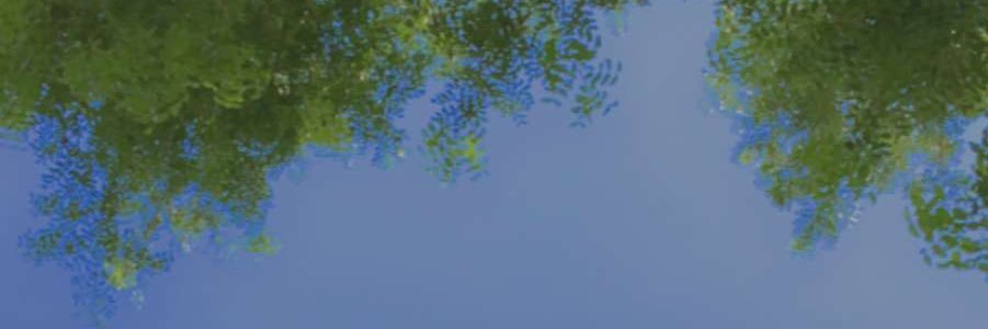 c💚 banner