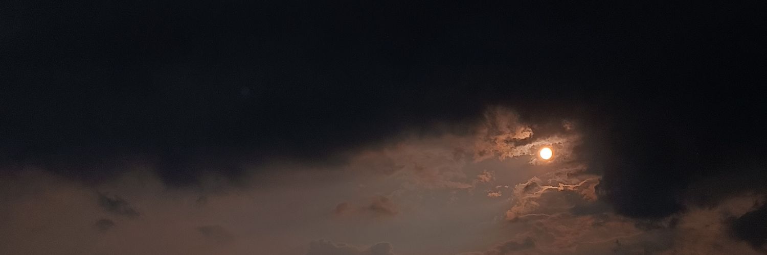 stillhatecops's profile banner image