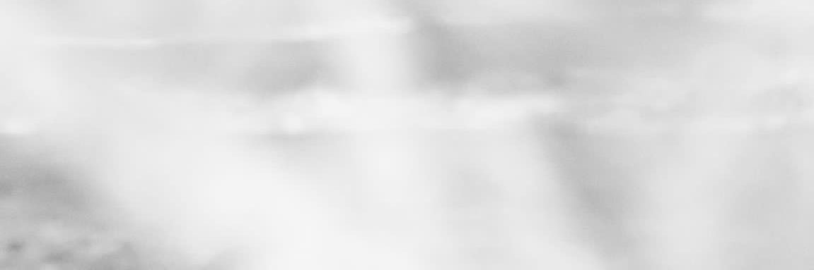 catalinaconcep's profile banner image