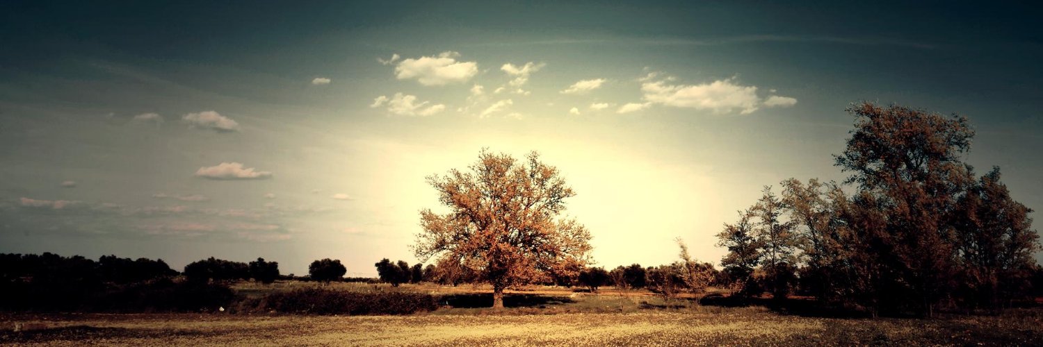 Roger Woodman banner