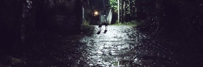 melancotopia's profile banner image