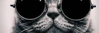 Tania7dg's profile banner image