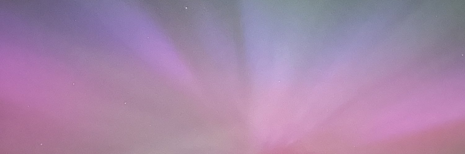 Liz May 💚 🤍💜🍪 banner