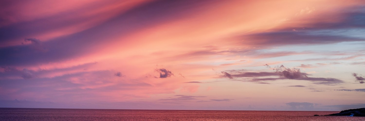 millie martinez banner