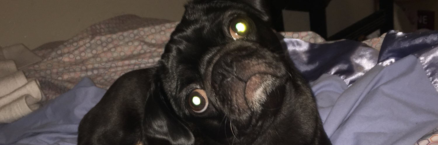 Little_illy_8's profile banner image