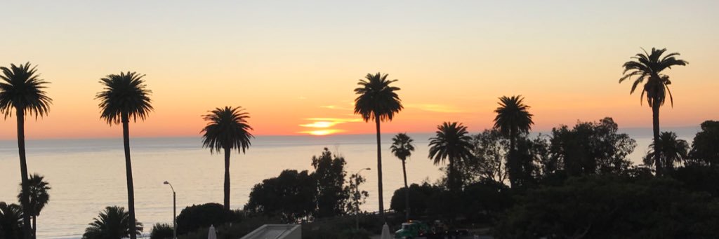 Michael Stoppelman banner