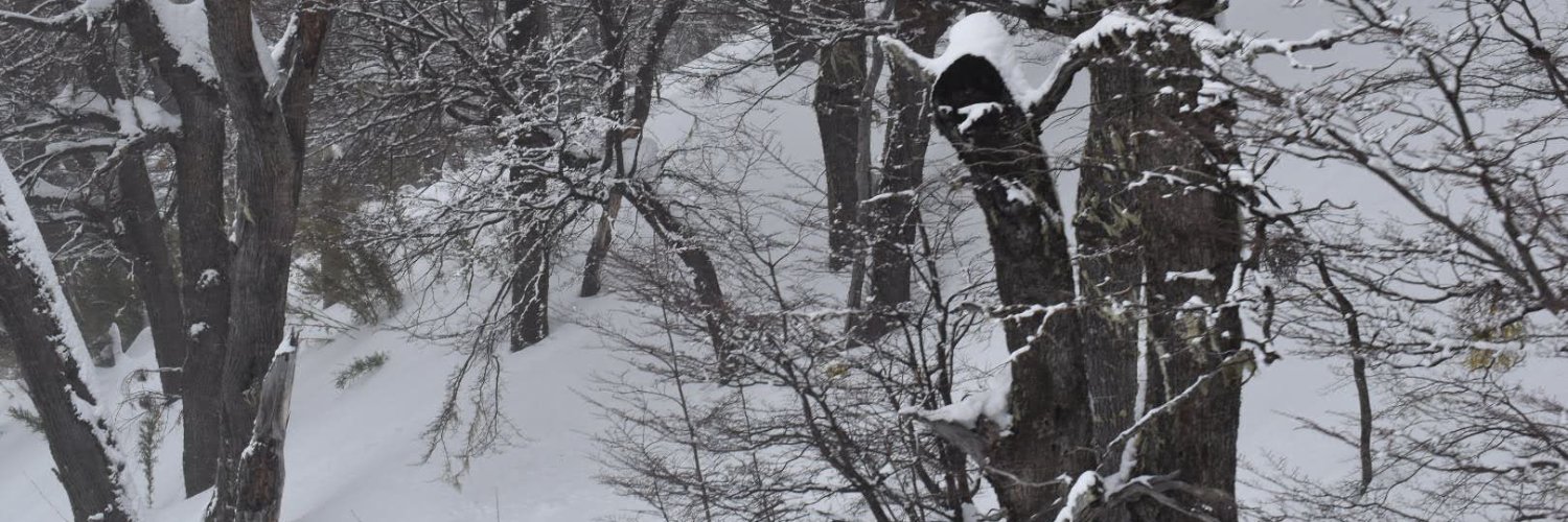 EHdMv's profile banner image