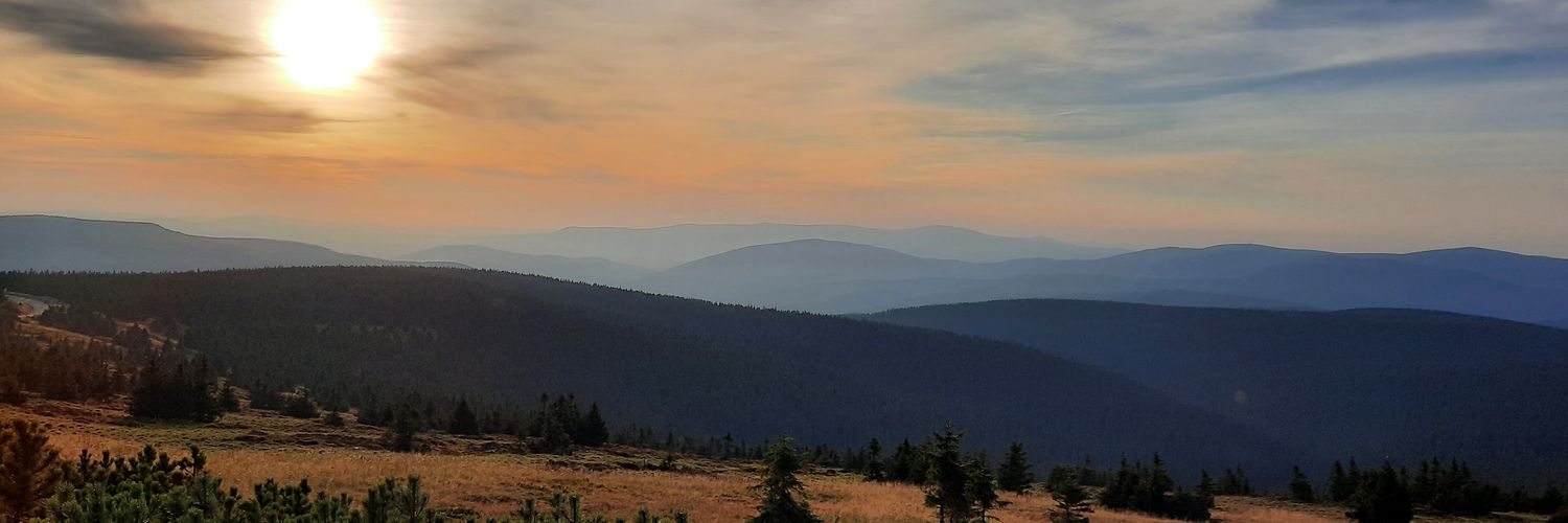 trefcz's profile banner image