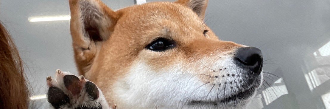 ranranruuuuy's profile banner image