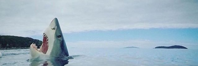 breezysef's profile banner image