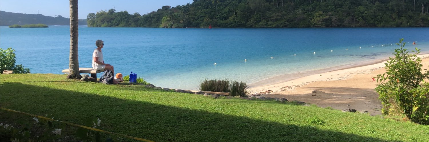 Tony Megabush banner