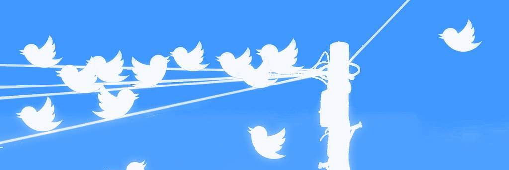 smanulongo's profile banner image