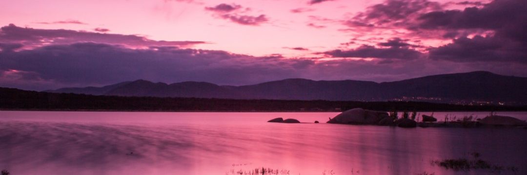 mxritrini's profile banner image