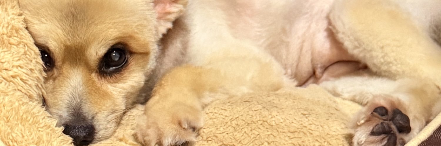 brittyybear's profile banner image