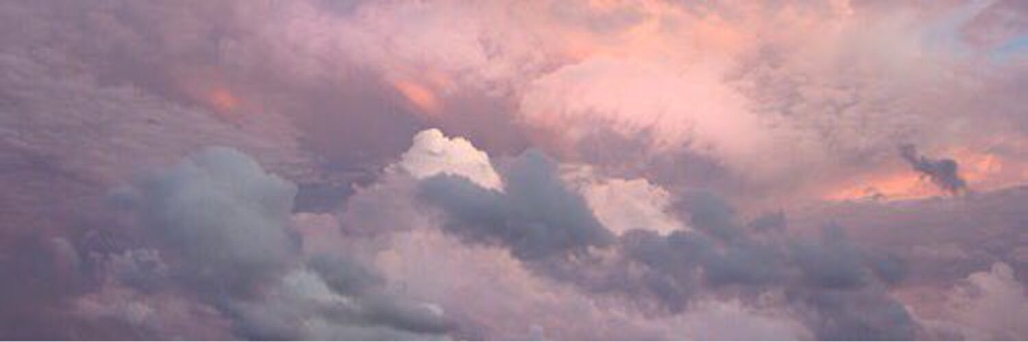 TansuAybuke's profile banner image