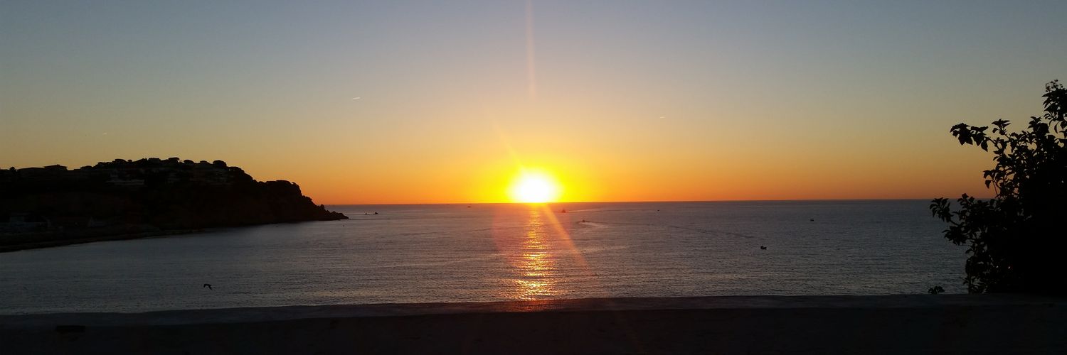 lluisass's profile banner image