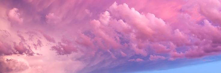 FlorineElle's profile banner image