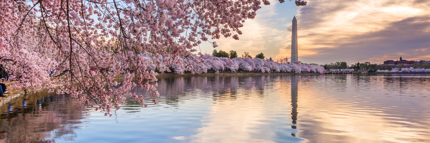 Daniela Kelley Sicuranza banner