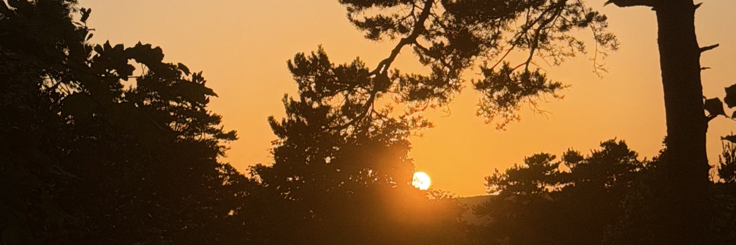 Floriiianex's profile banner image