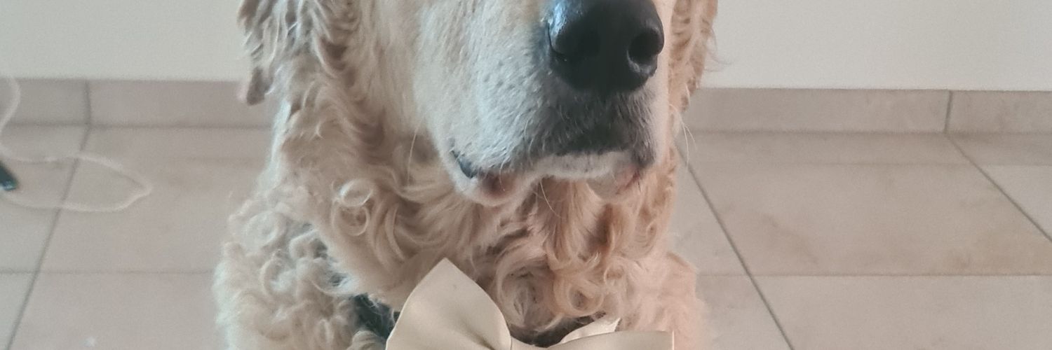 Samet Uluşan banner