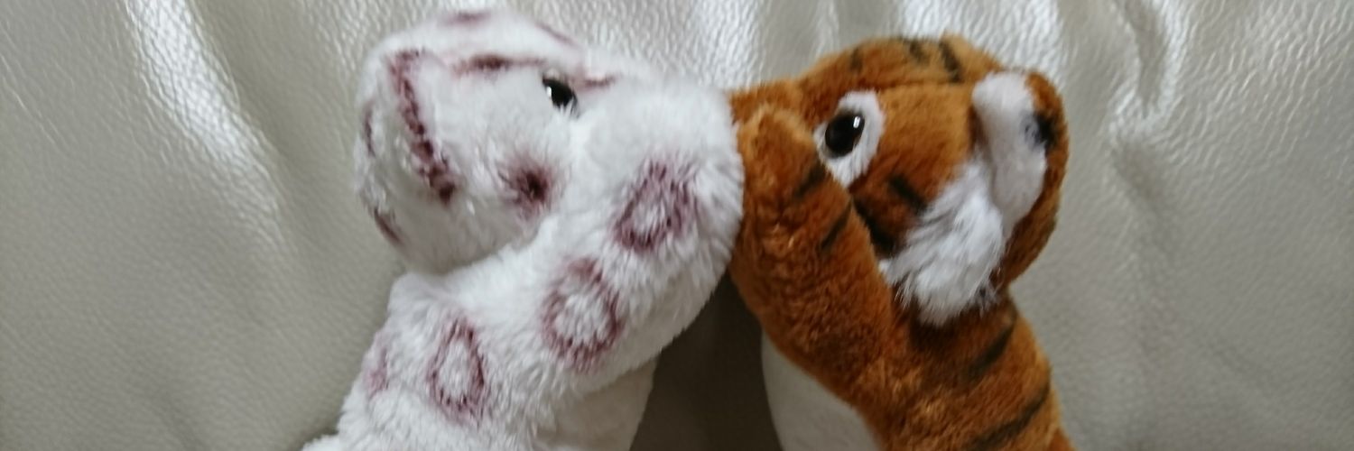 achi_z's profile banner image