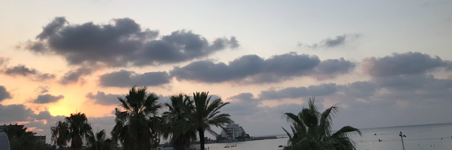 i am losing it banner