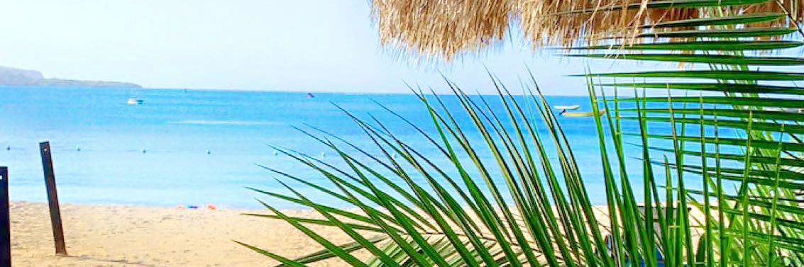 ⚡️ banner