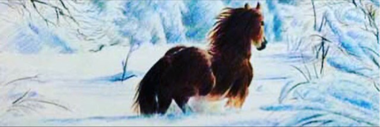 naf1490's profile banner image