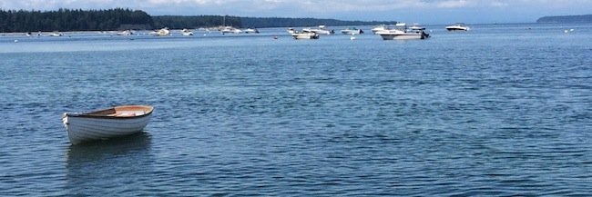 Maura Robinson banner