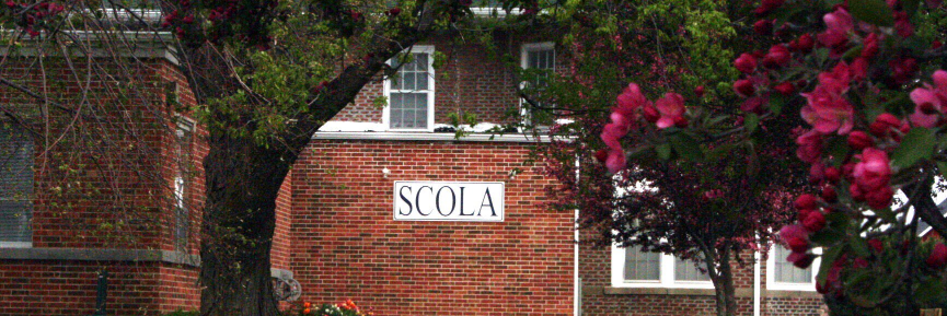 Scola's profile banner image