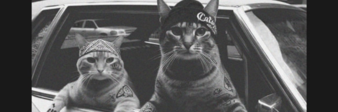 noirsorrel's profile banner image