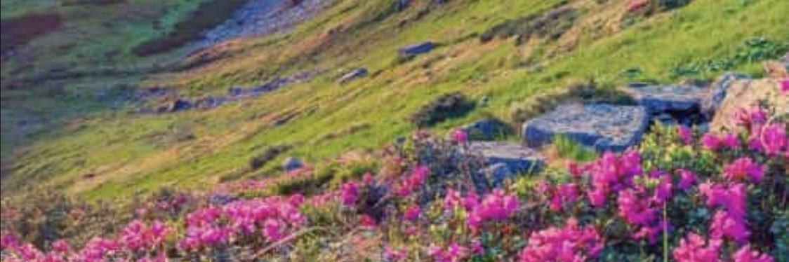 ghadh37's profile banner image