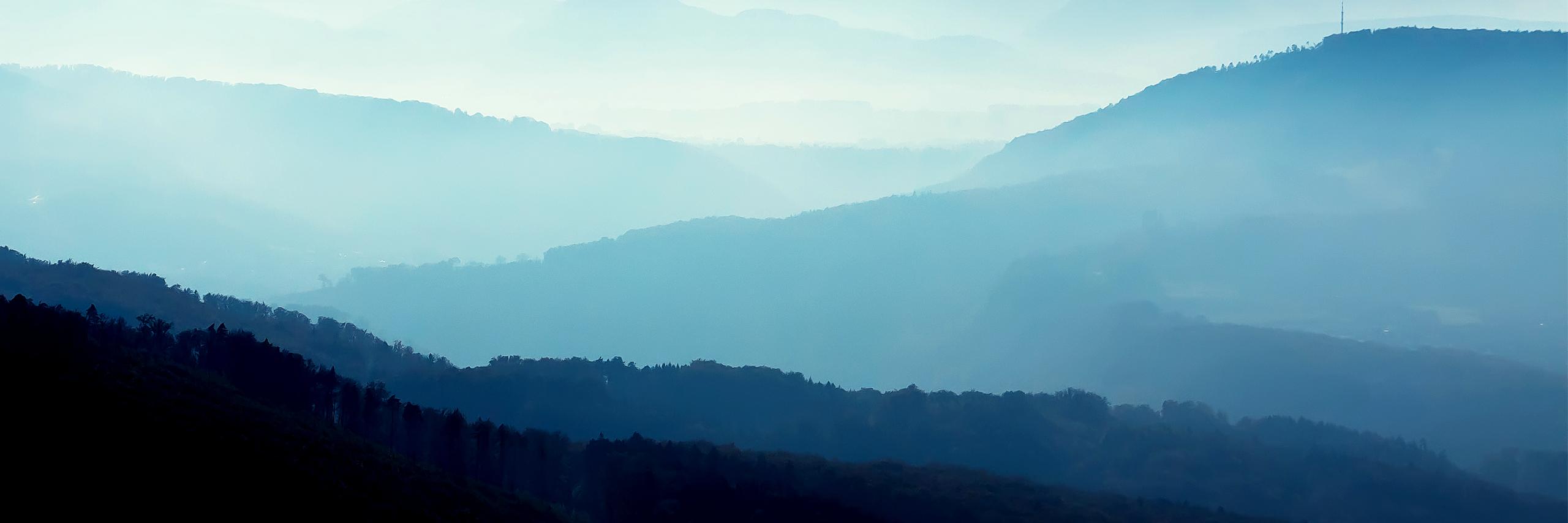 Fitchew_'s profile banner image