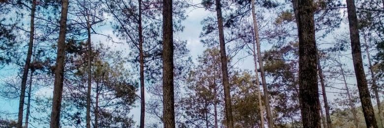UtamidwiA's profile banner image