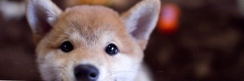 mizu the infinitely powerful banner