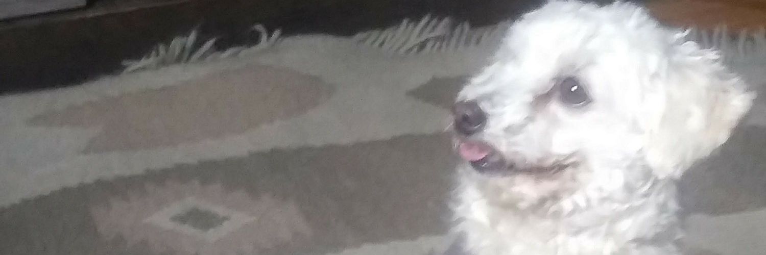 leo_rochamg's profile banner image