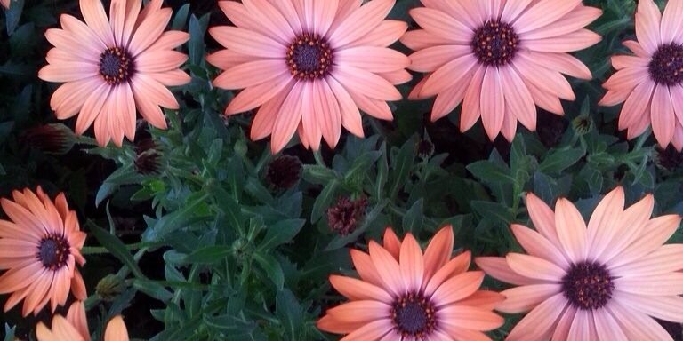 KatieKealey's profile banner image