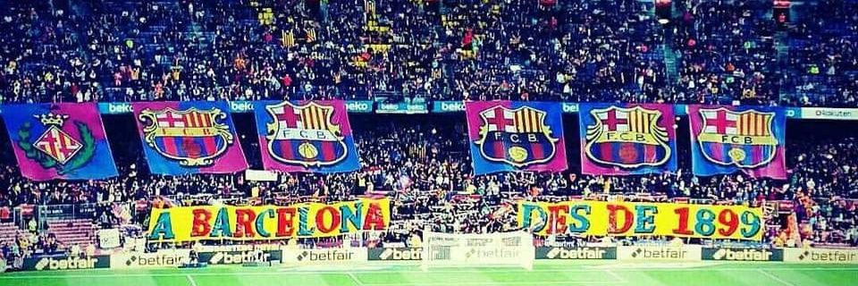 SturmFCB🇷🇺 banner