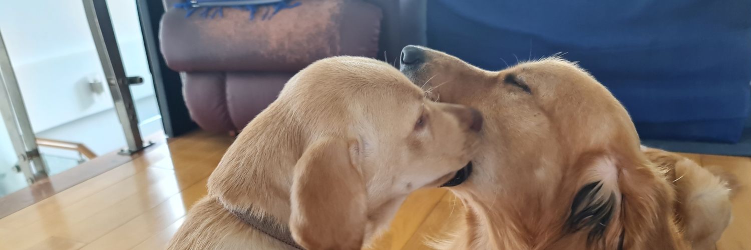 izblariana's profile banner image